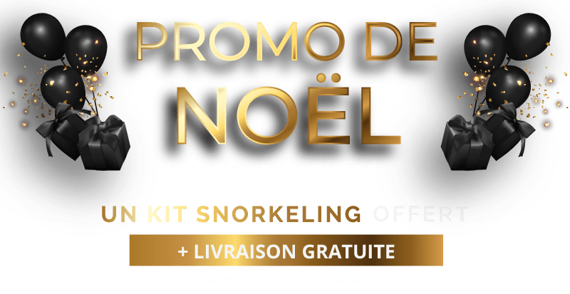 NOEL-bandeaufr